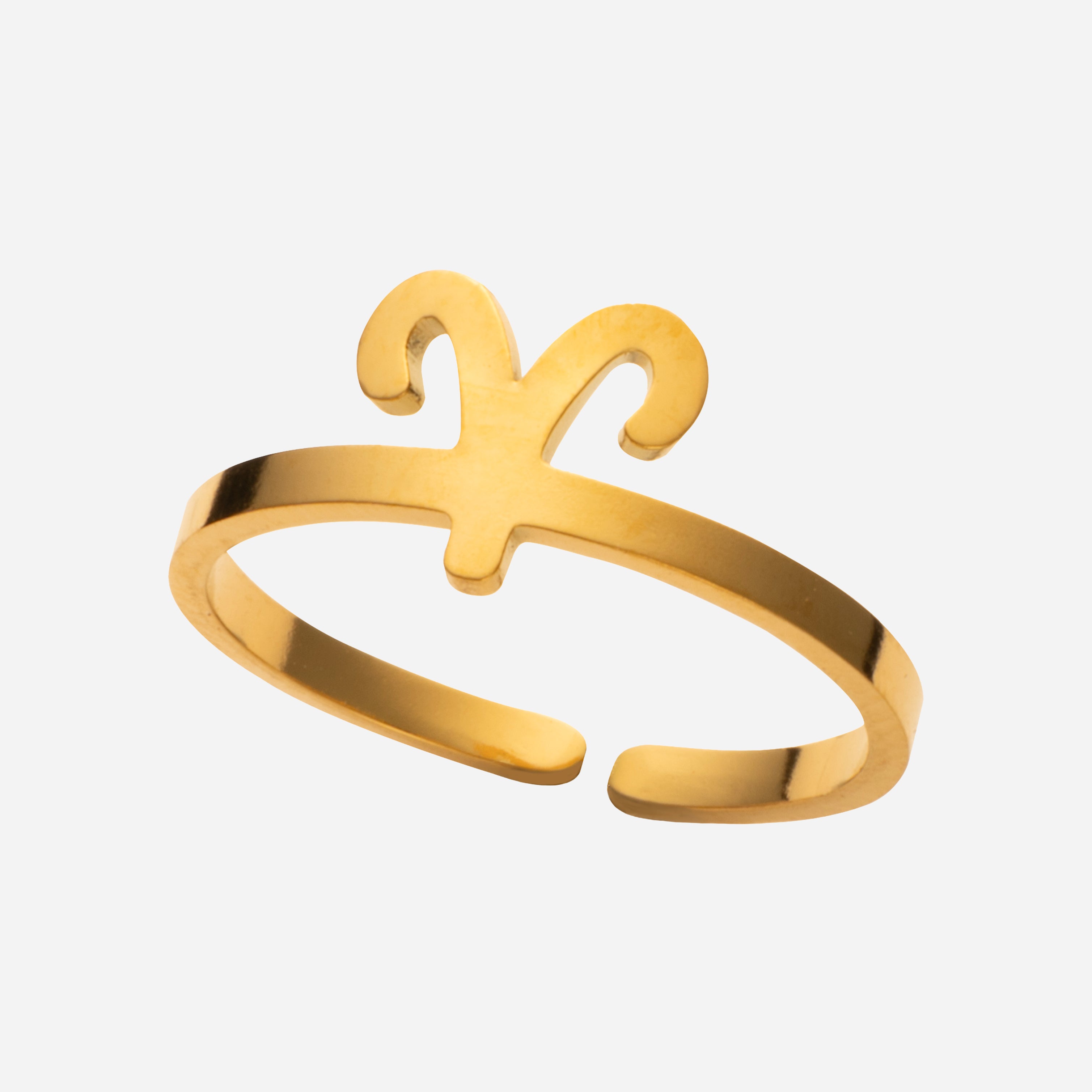 Zodiac - Sormus - Maya Helie