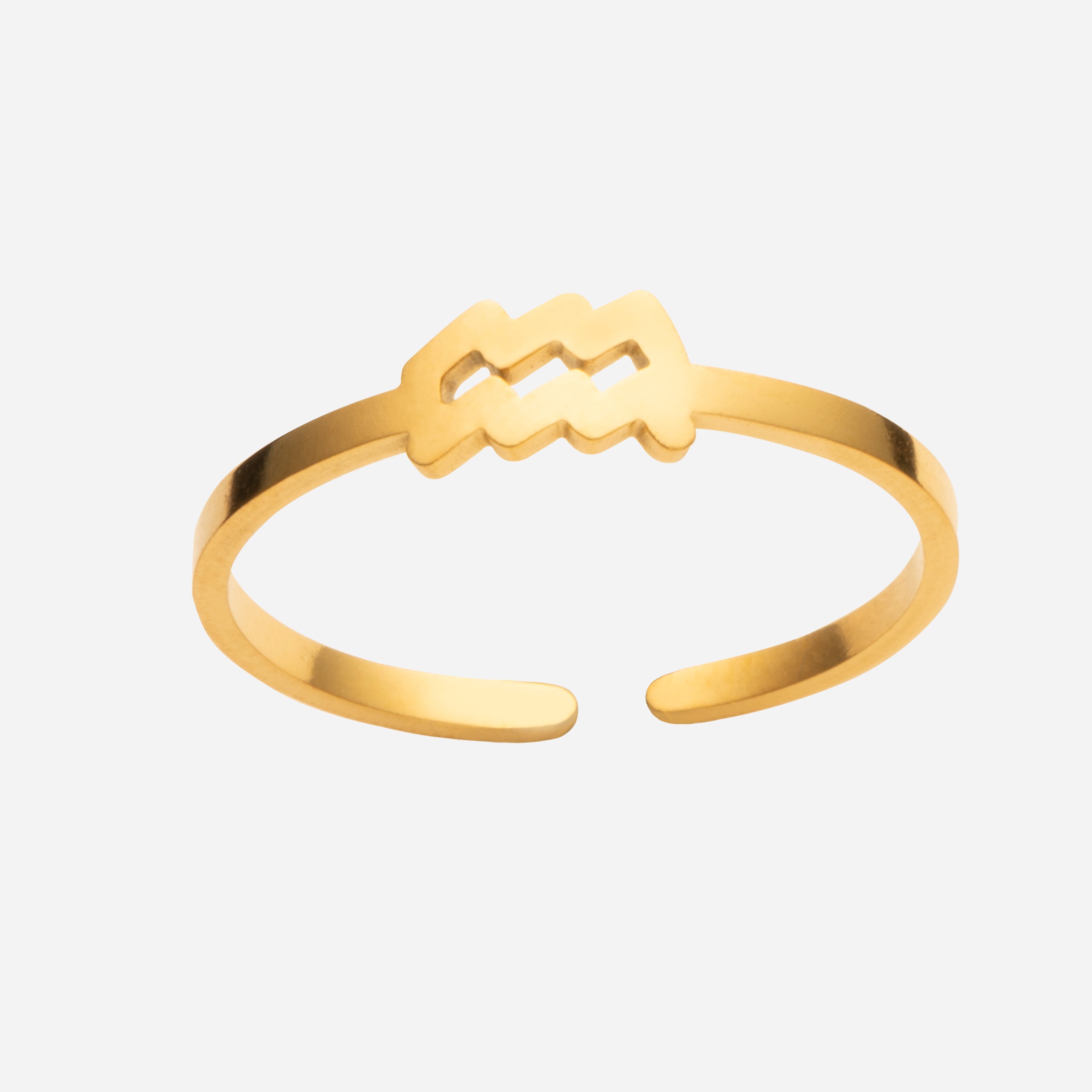 Zodiac - Sormus - Maya Helie